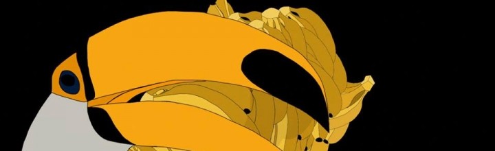image_51e274cc82e1d-720x220